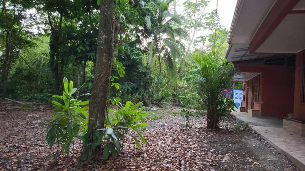 Hostel Manuel Antonio Park Jungle Экстерьер фото
